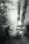 Борьба с лесными пожарами. 1956 г. 