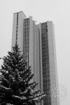 Здание Правительства Свердловской области