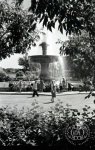 В Свердловском дендрологическом парке. Свердловск, июнь 1961 года. 