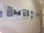 Открытие выставки архивных фотографий «Природа Каменного пояса» в Государственном архиве Свердловской области
